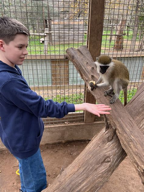 houston mobile petting zoo.